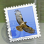 Apple Mail App